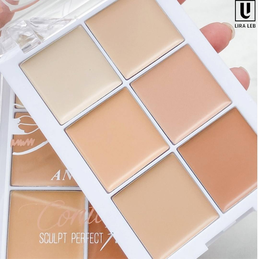ANYLADY CONTOUR 6IN1 Concealer Full Coverage Contour