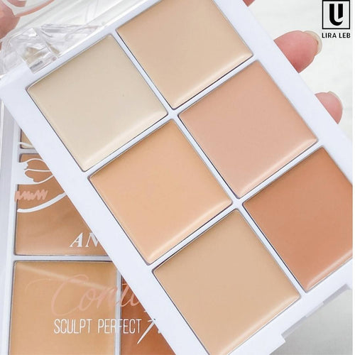 ANYLADY CONTOUR 6IN1 Concealer Full Coverage Contour