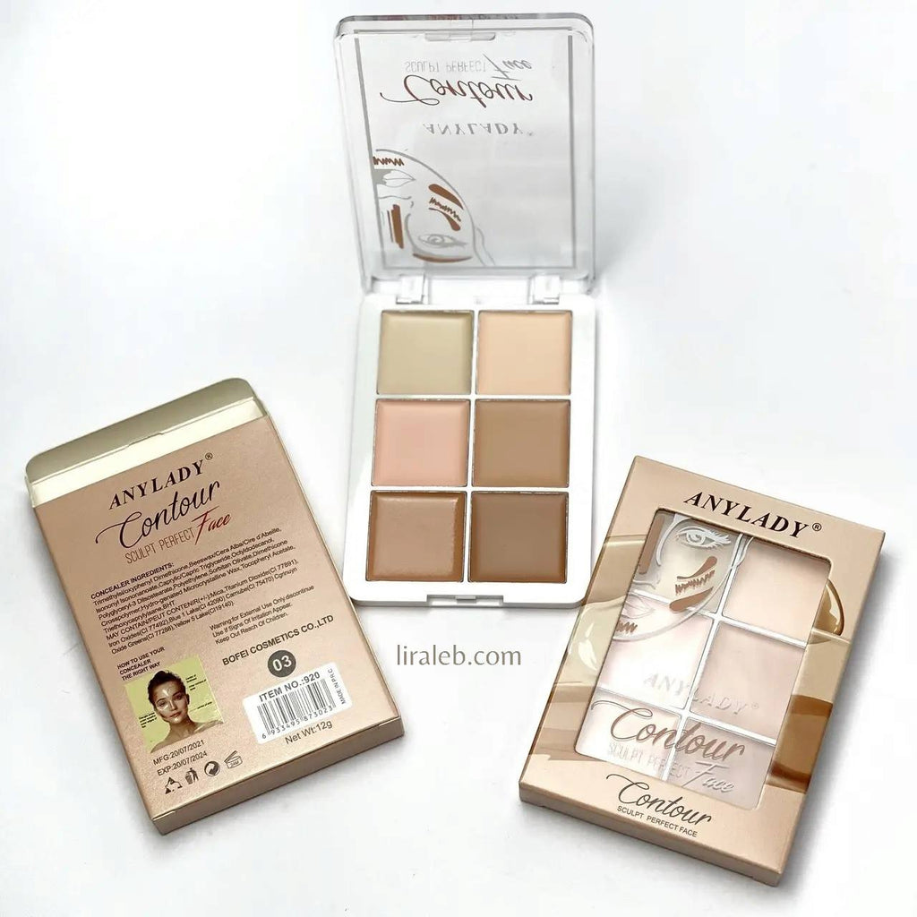 ANYLADY CONTOUR 6IN1 Concealer Full Coverage Contour