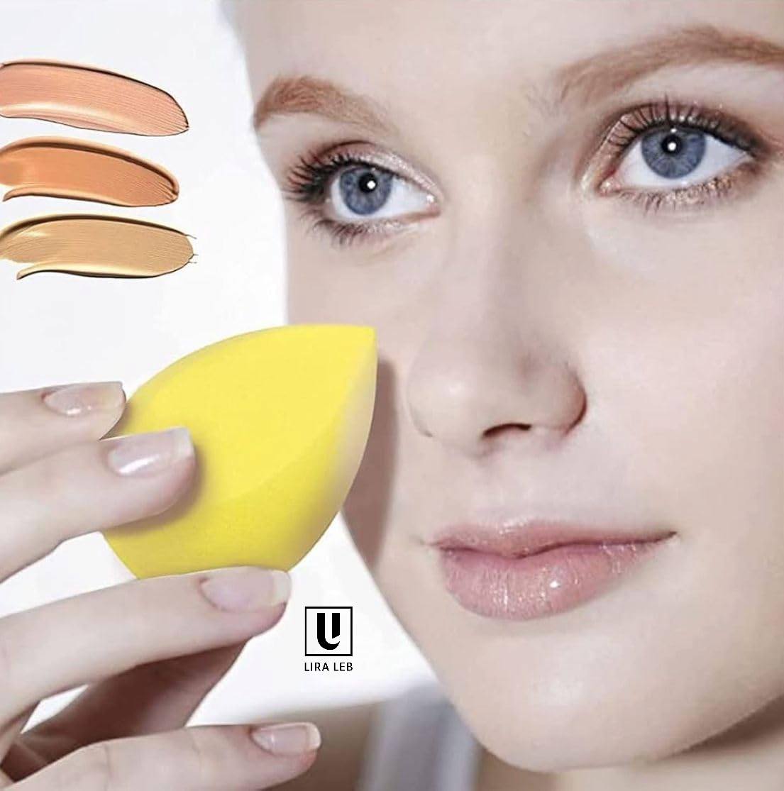 Makeup Application Set 4in1 Foundation Brush with 3 Makeup Sponges